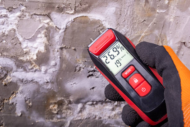 Best Best Mold Removal Companies  in Kerens, TX
