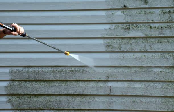 Best Commercial Mold Removal  in Kerens, TX