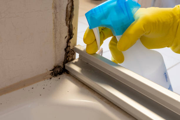 Best Mold Cleaning Services  in Kerens, TX