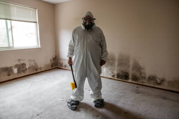 Kerens, TX Mold Removal Company